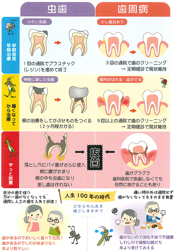 秘策 定期健診 公式 デンタルクリニック夏帆